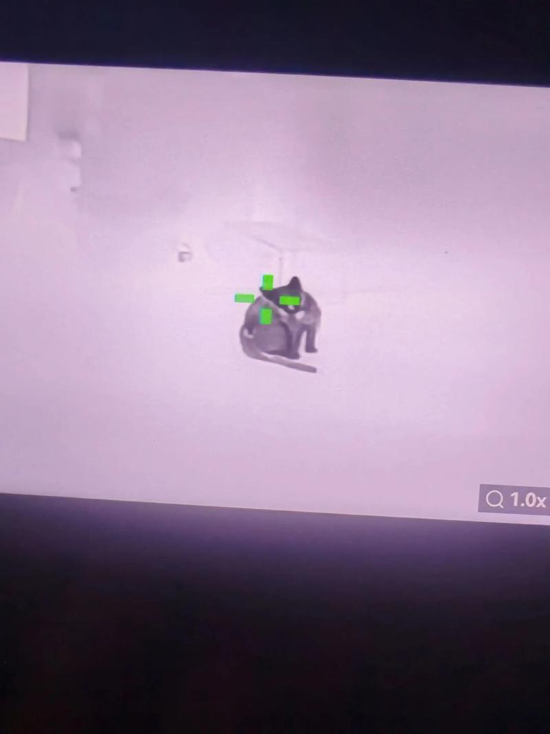 肠道梗阻做什么检查